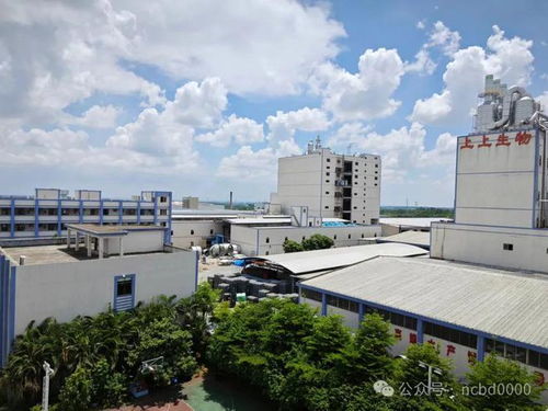 航母級特種水產料工廠喊話 高端蝦料要打擂臺,小棚蝦養戶會第一個站出來支持