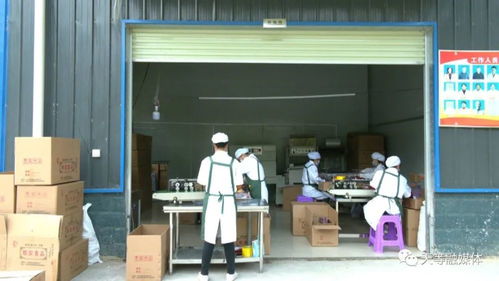 進結鎮 特色產業持續發力 脫貧成果百花齊放