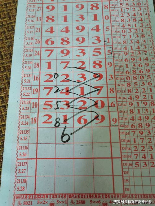 21135期 排5 阿文 小帆 海南特產大師 預測規律圖