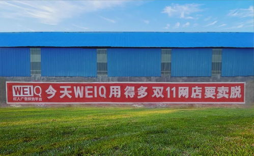 無國界網絡 雙11,小老板的大機會