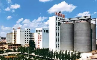 河套麥恒豐 面香氳天下