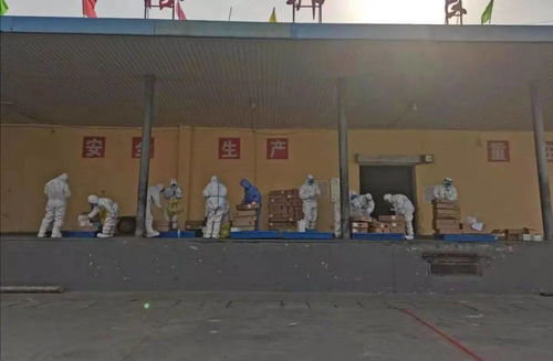 逆行出征 抗疫有我 昌黎疾控人在行動(dòng)