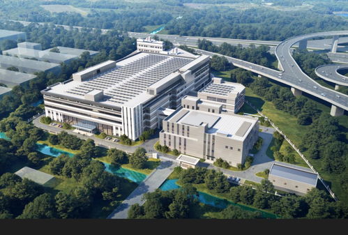 食品超級工廠 橡膠黃金 總投資245億元,一批重大產業項目落地金山