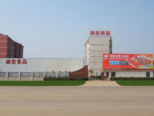 湖南湘岳食品