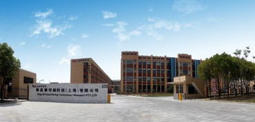 龍利得 率先建成印刷包裝行業智慧工廠,產品創新讓其贏得大客戶青睞