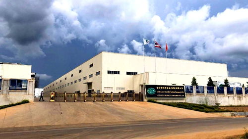 突破技術壁壘創立商標品牌 這家揚企搶占泰國乳膠制品市場