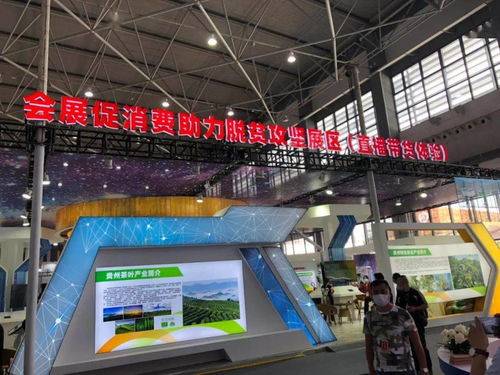 妙呀 黔貨貴酒相得益彰,酒博會里不止賣酒