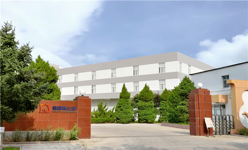 衛生巾工廠 衛生巾的功能芯片,到底有多大作用