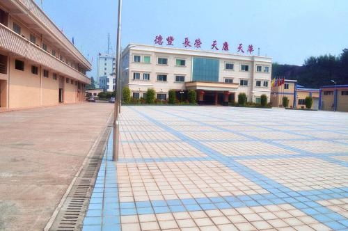 廣寧德豐保健食品廠