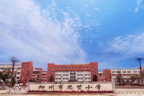 2021年柳江中小學學區劃分 意見稿