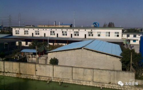 牛 太倉一企業首獲國家級標準創新貢獻獎