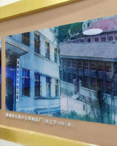 短短10天,湖北產(chǎn)生2位富豪,咸寧1家6口30億,孝感新首富超百億