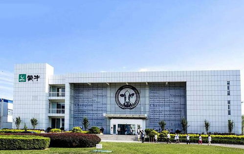 蒙牛創始人牛根生 淡出蒙牛后,在加拿大 再創業 仍是風生水起