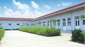 滄縣康源塑料制品廠與澄海盛隆紙品 塑料與紙品的制造雙雄