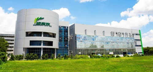 團餐賽道的變局與機遇——專訪望家歡總經理徐斌華